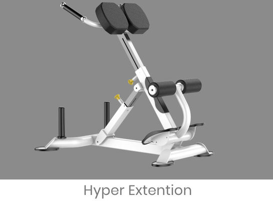 Rohsのローマの椅子体育館のための背部延長練習機械